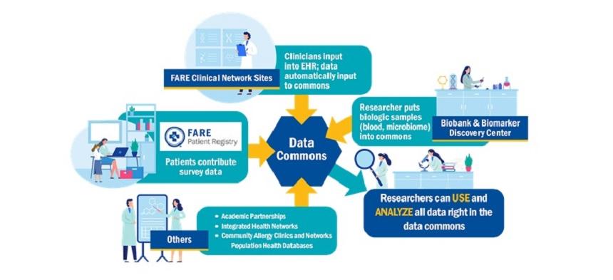 Data Commons graphic JPG